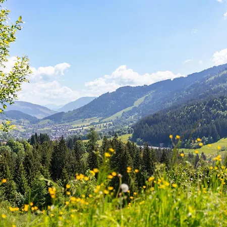 Sonnentanz 2 Daire Wildschoenau